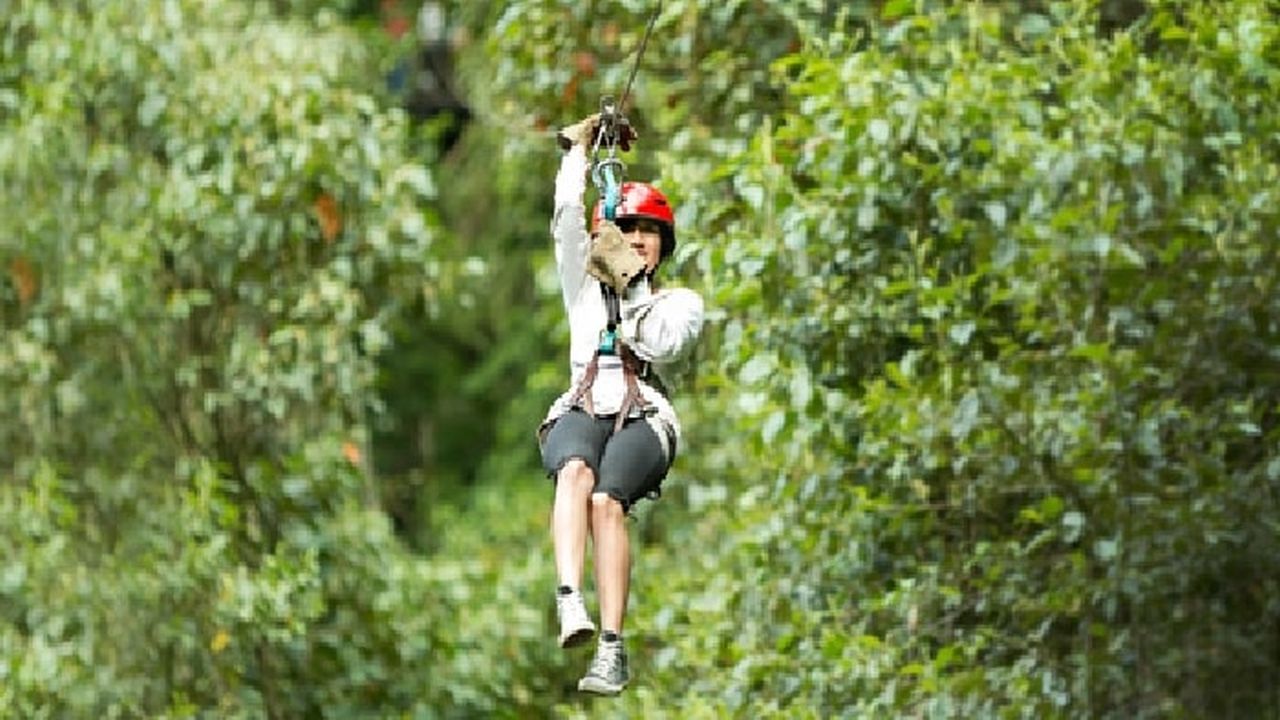 Canopy Adventures